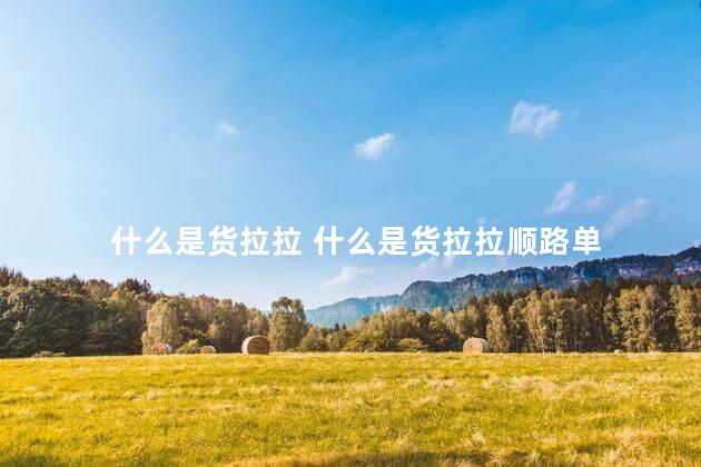 什么是货拉拉 什么是货拉拉顺路单